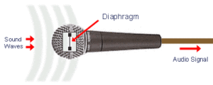 diaphragm1